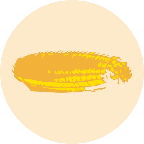 Pakal Mídia